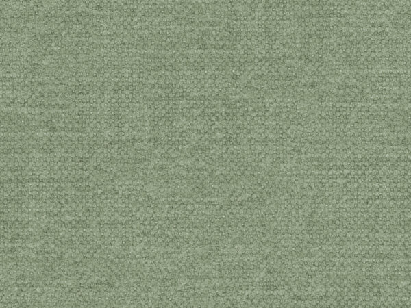 pistachio